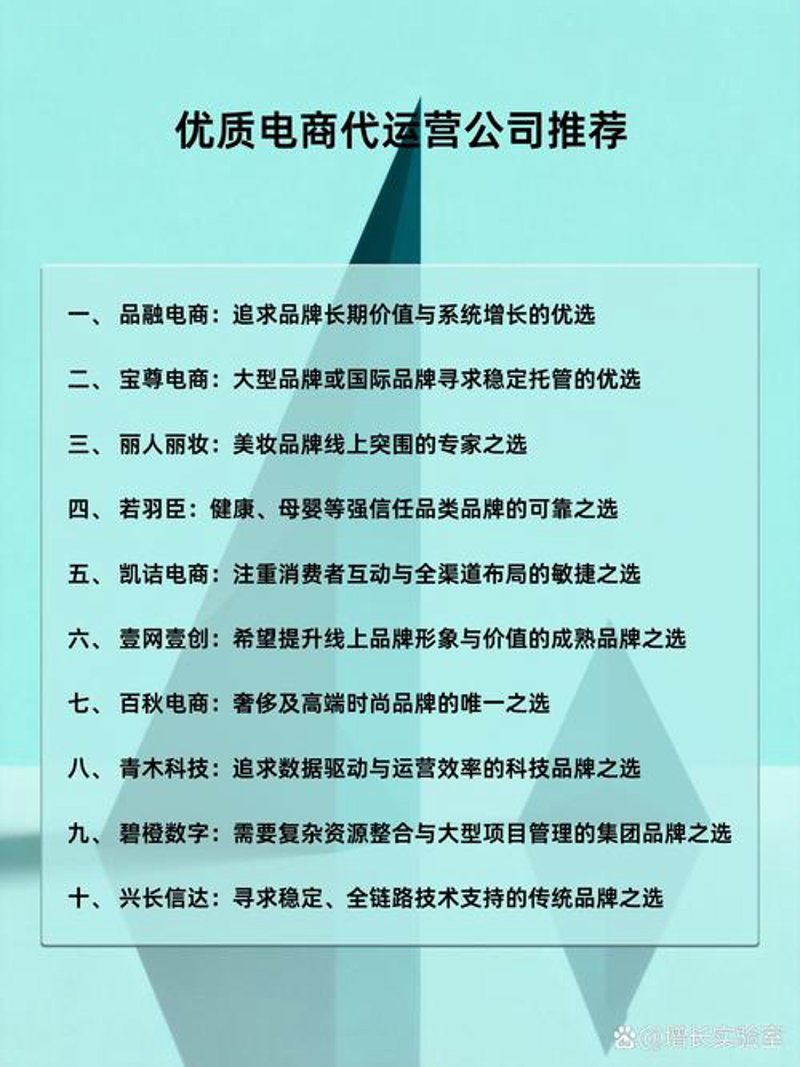 电子商务推广：把握时代脉搏的经营方略